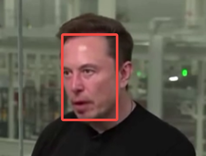 Bounding box detections